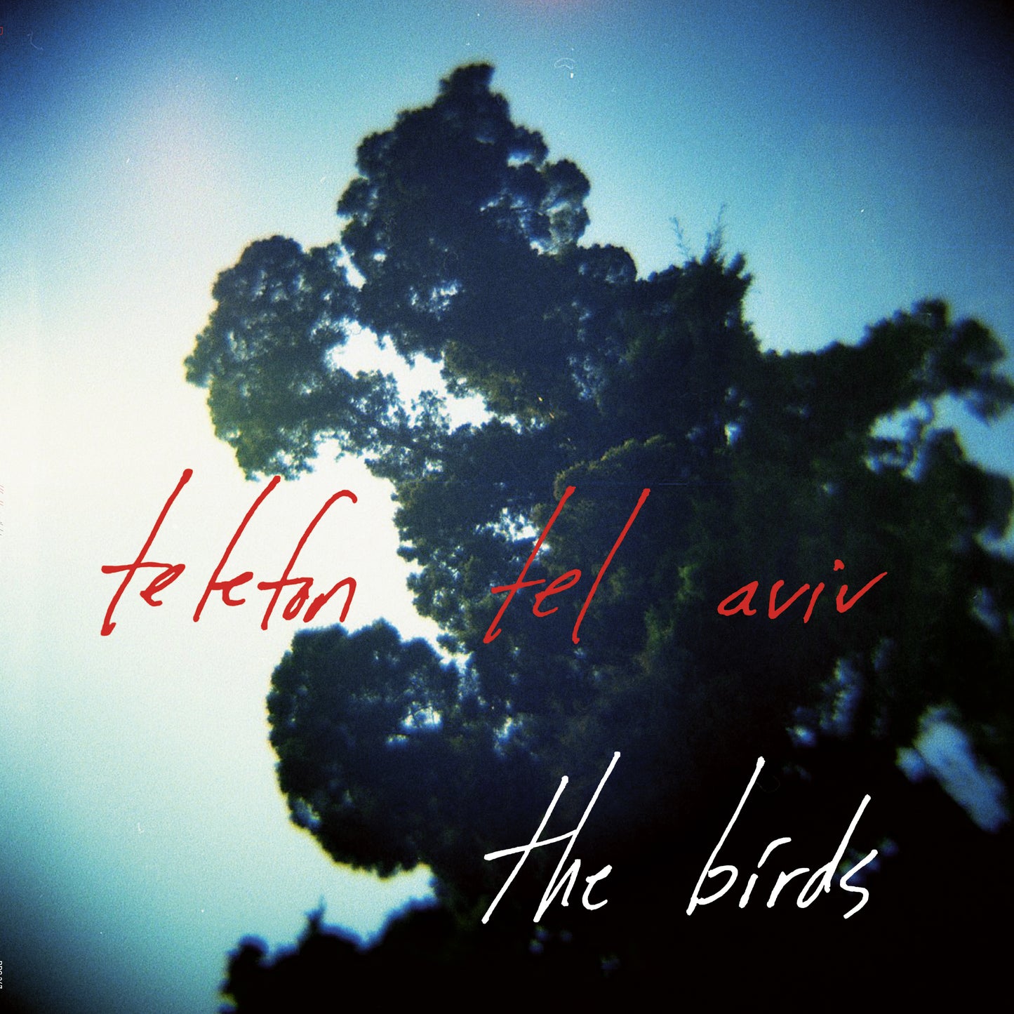 The Birds EP