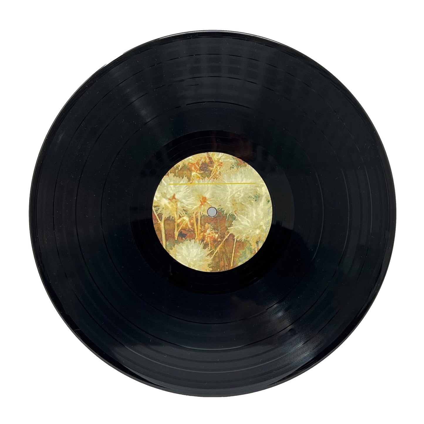 Rosa_Vinyl_back