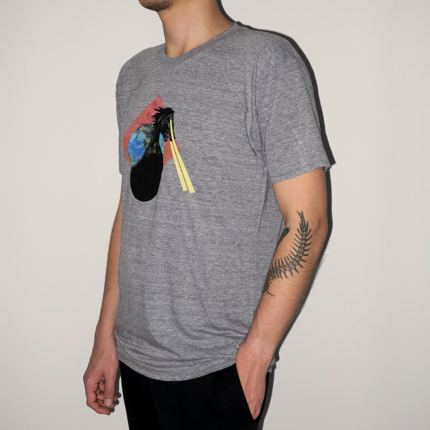 ts048_ellen_allien_galactic_horse_2